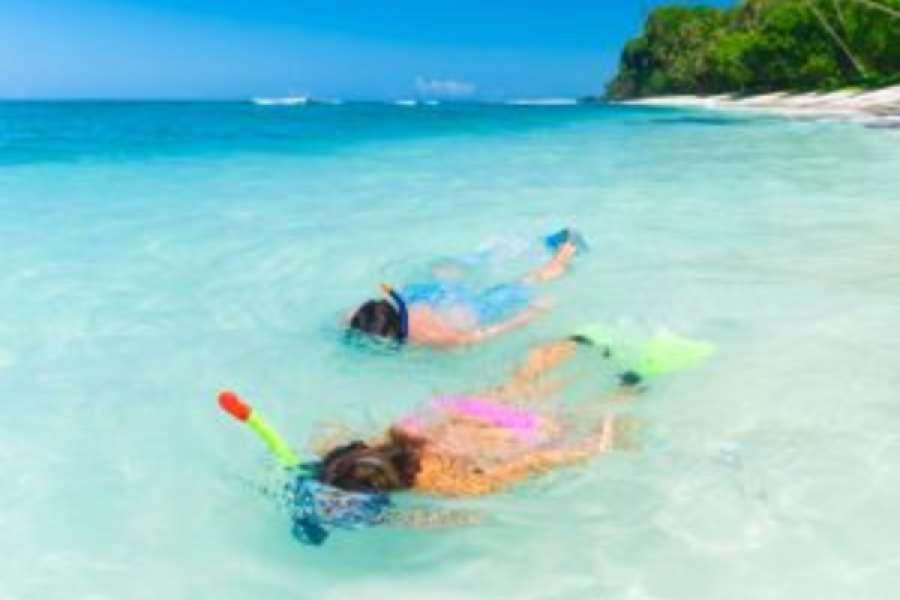 Full-Day Snorkeling Safari