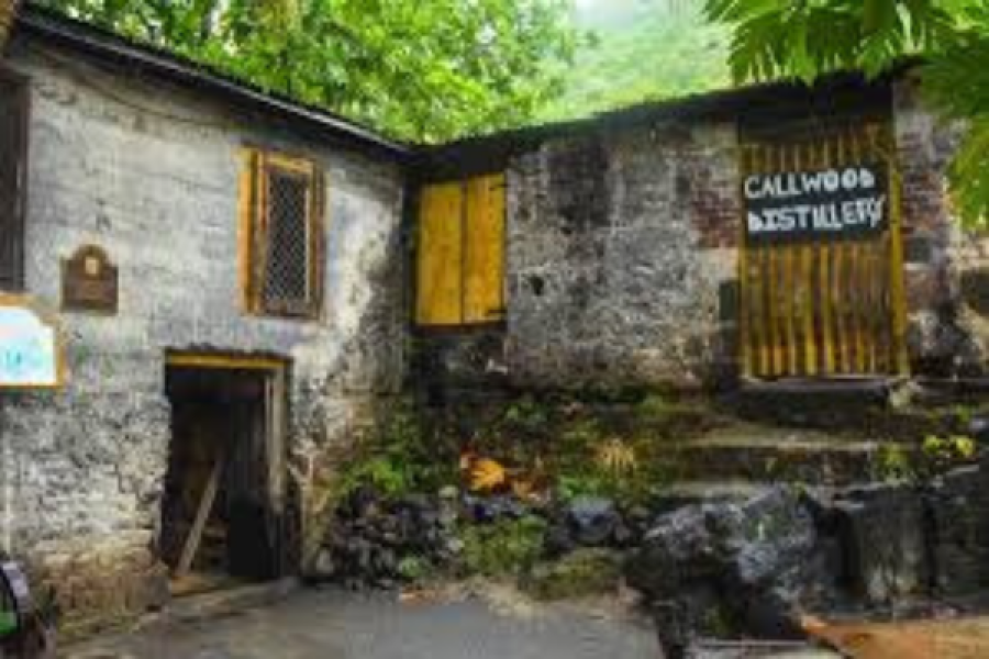 Cane Garden Bay Rum and History Tour